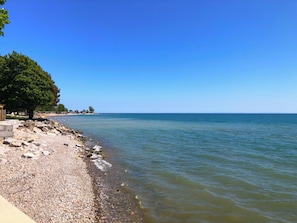 A pebbled beach with a clear blue sky, a large tree, and a calm sea.