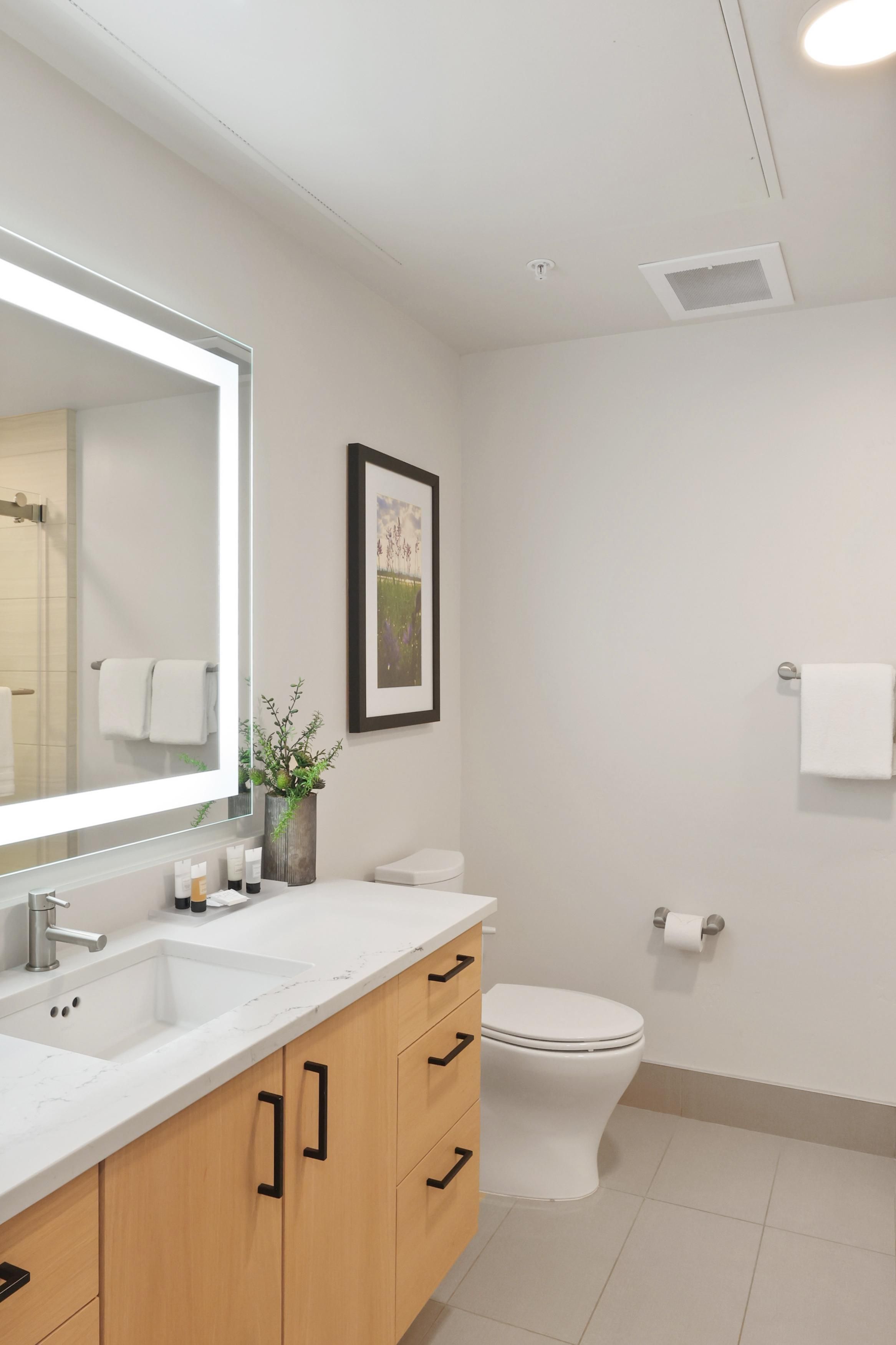 A modern bathroom with a white sink, wooden cabinets, a toilet, and a framed picture on the wall.