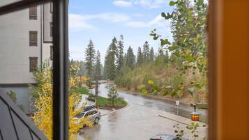 A view from inside a building looking out at a rain-soaked road with vehicles, surrounded by trees and a building with a light-colored facade.