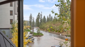 A view from inside a building looking out at a rain-soaked road with vehicles, surrounded by trees and a building with a light-colored facade. - Mountain Condo | Includes Two 1-Day Lift Tickets (Tamarack)