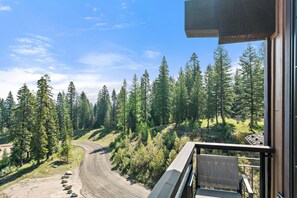 Blick von einem Balkon auf einen unbefestigten Weg, der durch ein bewaldetes Gebiet mit hohen Bäumen schlängelt.