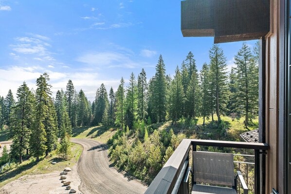 A view from a balcony overlooking a dirt road winding through a forested area with tall trees.