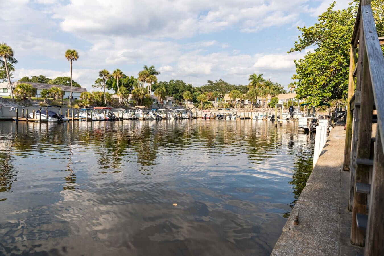 Uma marina com barcos atracados na beira da água, rodeada por palmeiras e edifícios residenciais.