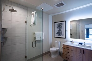 Une salle de bain moderne dotée d’une douche à parois de verre, de toilettes, d’un lavabo avec un miroir et d’une œuvre d’art encadrée accrochée au mur.