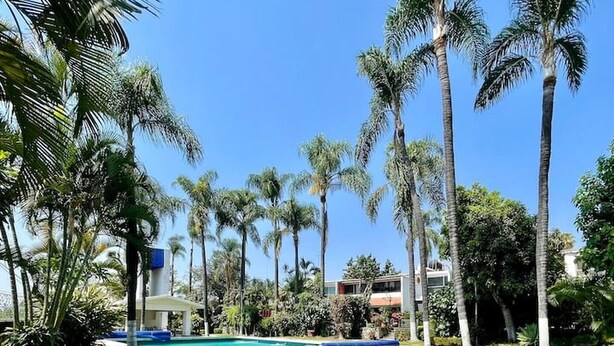 Una piscina azzurra e limpida circondata da palme e vegetazione, con un edificio sullo sfondo.