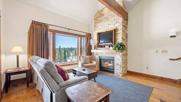 Televisión y chimenea