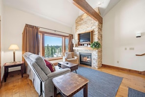 TV, fireplace