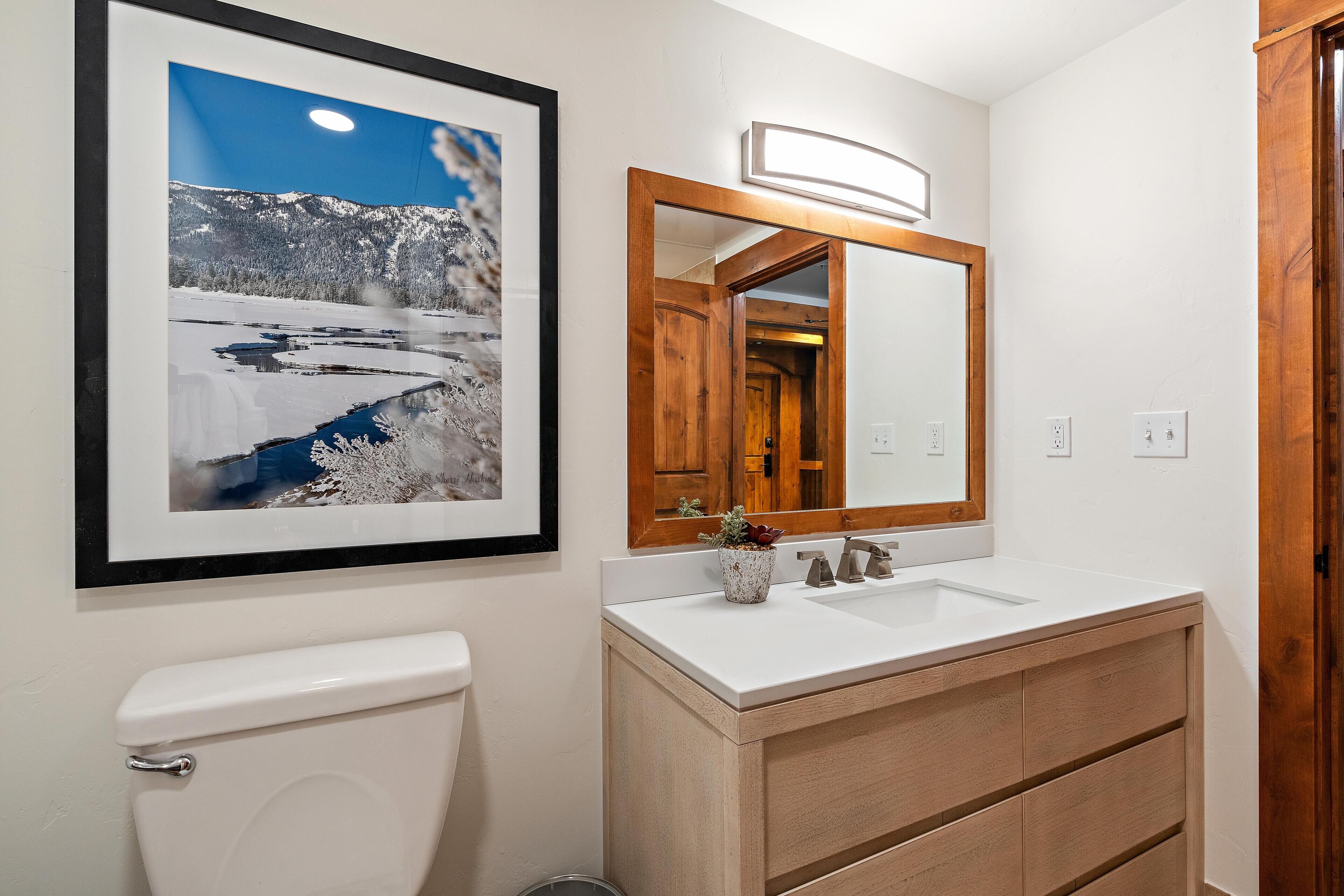 A bathroom with a toilet, a sink with a mirror above it, and a framed photograph on the wall.
