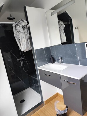Shower, hair dryer, towels