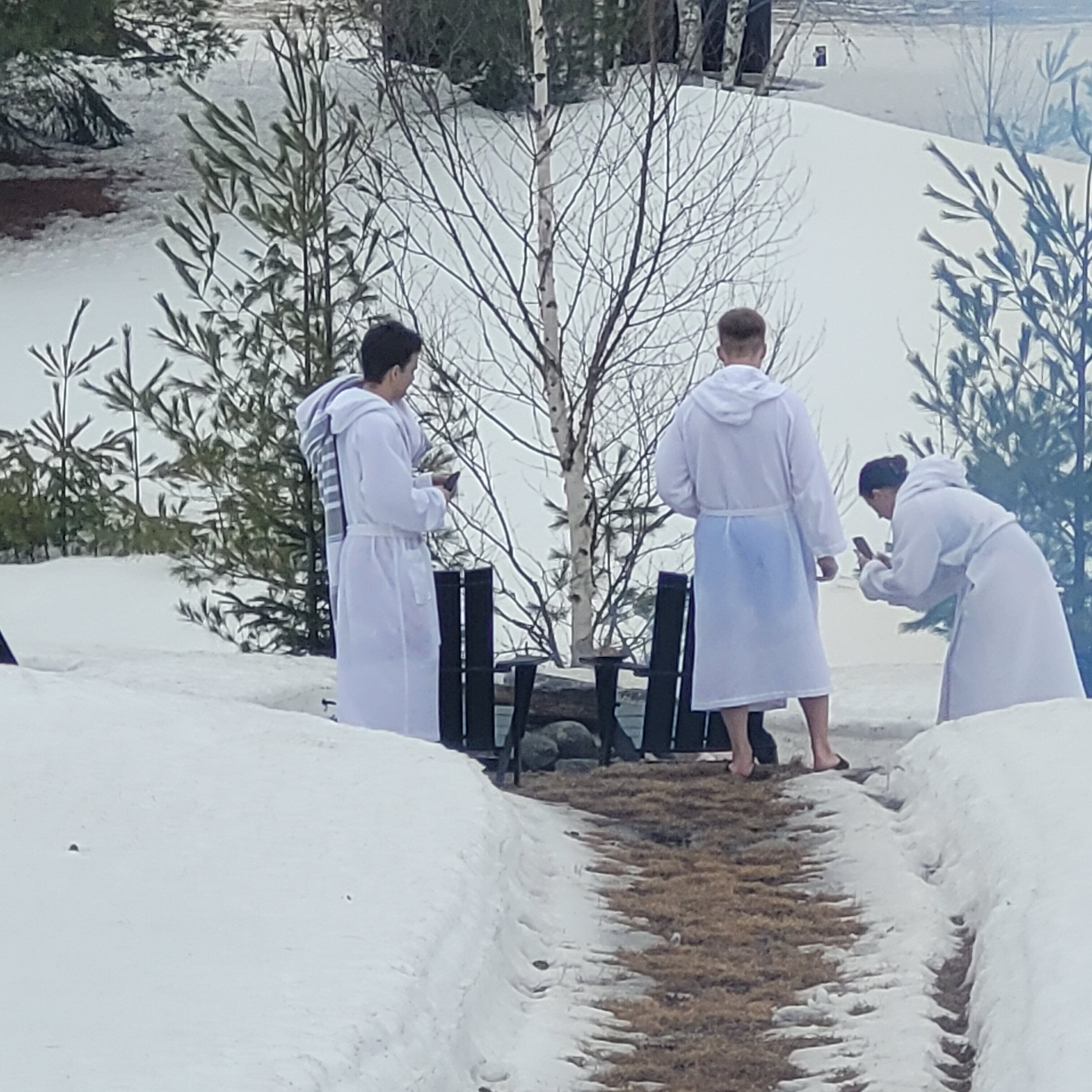 Lumipeitteinen ulkoalue, jossa on polku, penkkej ä ja puita.