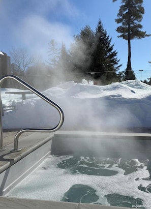 A pool with a metal railing, surrounded by snow and trees.