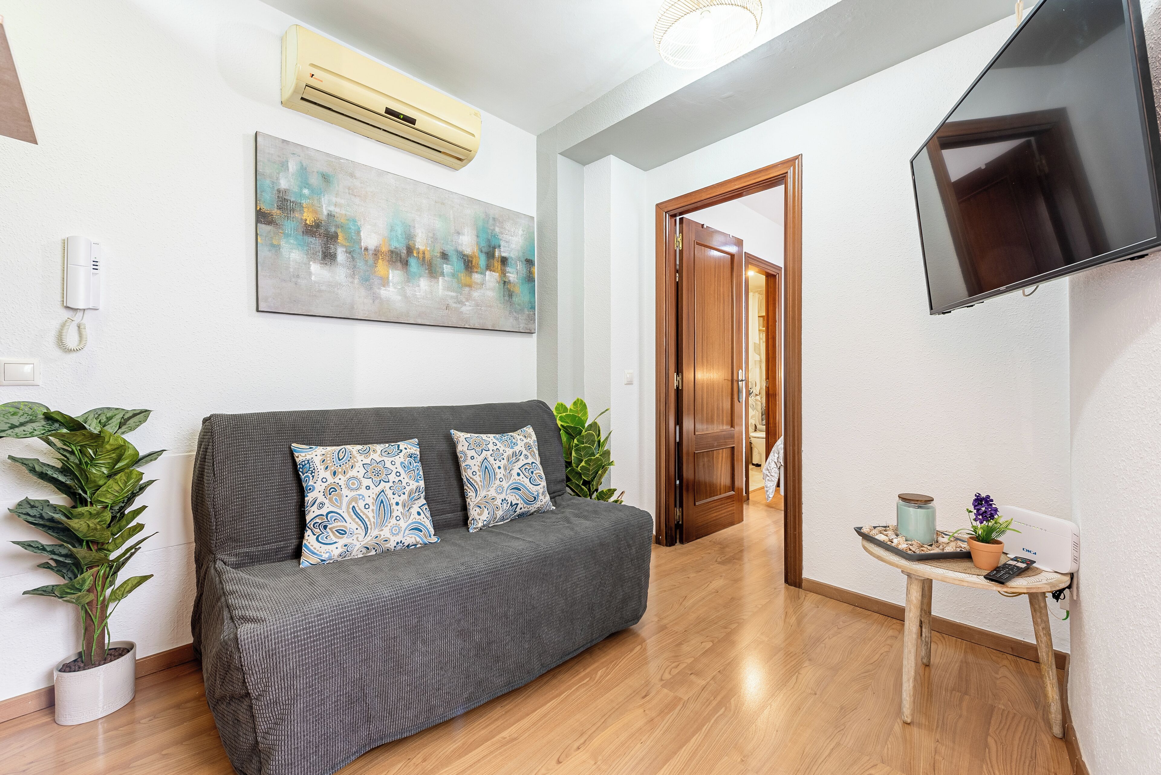Un salon avec un canapé gris, deux coussins à motifs, une plante en pot, un téléviseur à écran plat fixé au mur et une petite table sur laquelle se trouvent une plante et une télécommande.