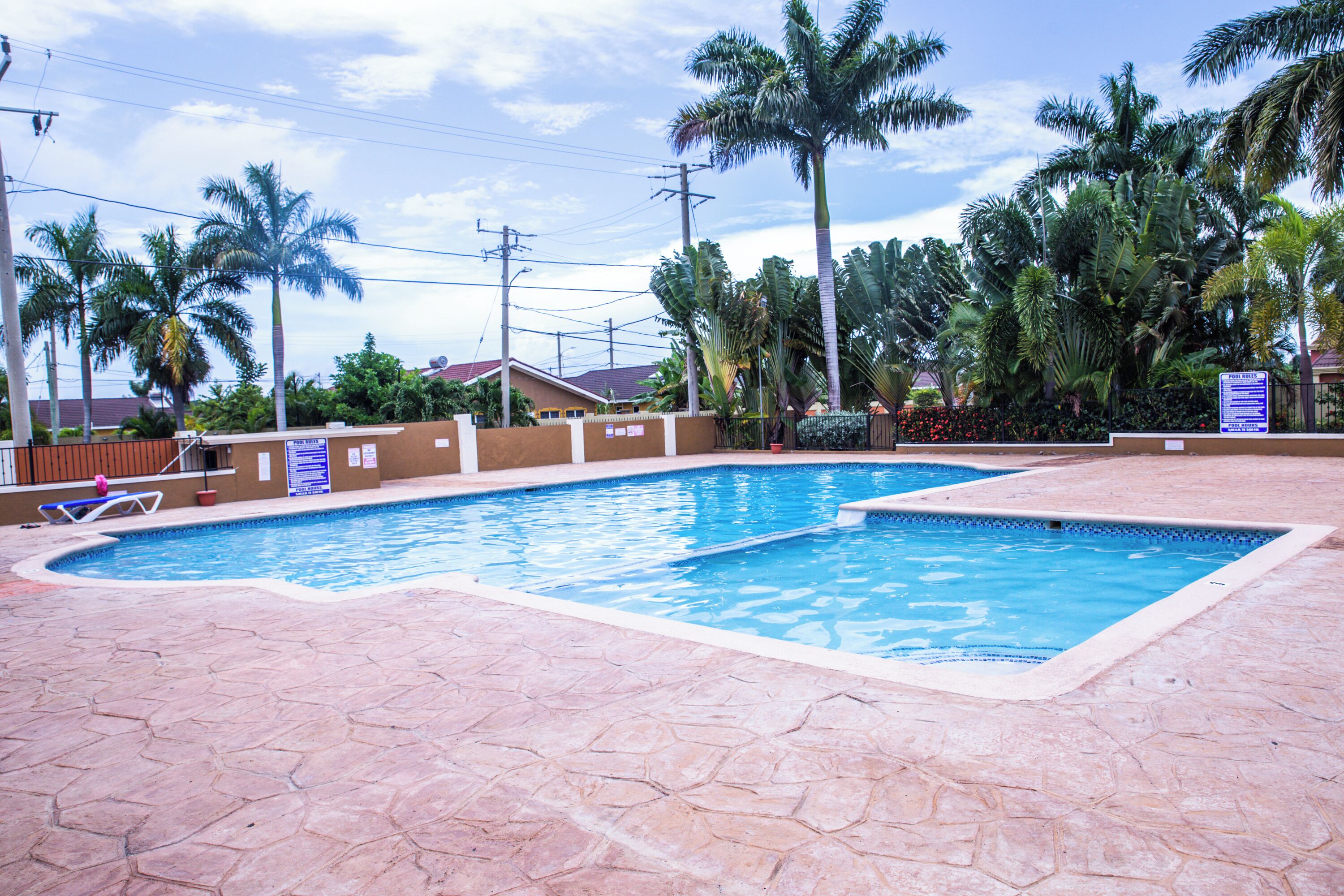 A swimming pool with a tiled deck, surrounded by palm trees and a fence.