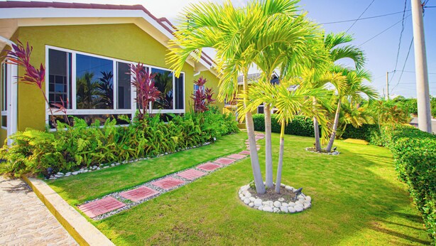 A yellow house with a well-maintained garden, including palm trees and a paved pathway. - Adorable Beach House In Draxhall (Ocho Rios)