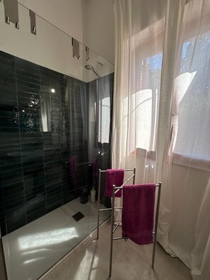 Regadera, secadora de cabello, bidet, toallas 