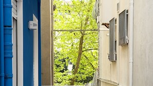 A narrow corridor with a blue wall on one side and a beige wall on the other, leading to a balcony with a metal railing. - Casa Vacanza Brezza Marina - Marine Pearl (Chioggia)
