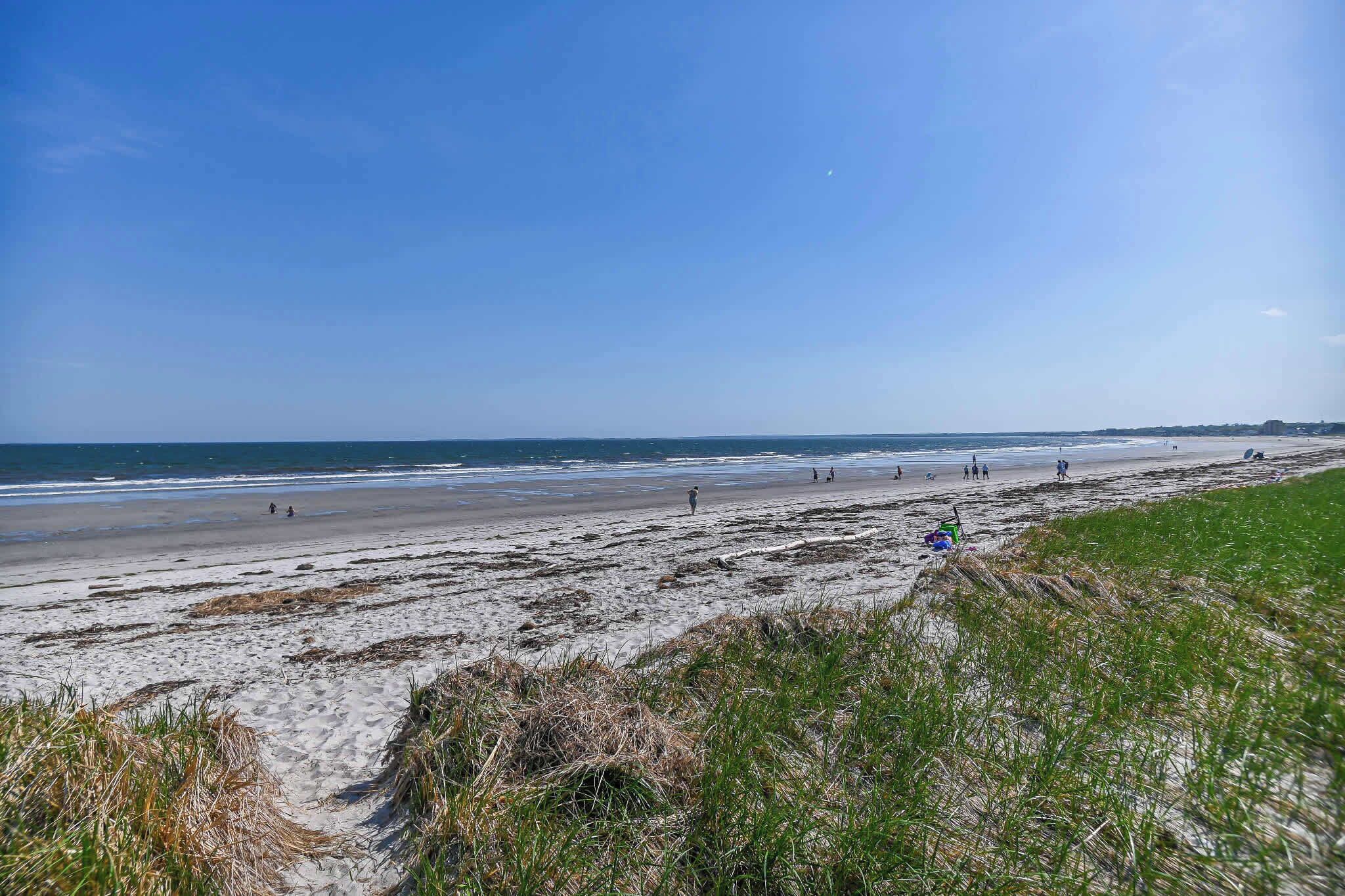 A beach with sand, seaweed, and grass.