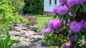 Property grounds - Cape Neddick Coastal Hideaway New England Charm! (Cape Neddick)
