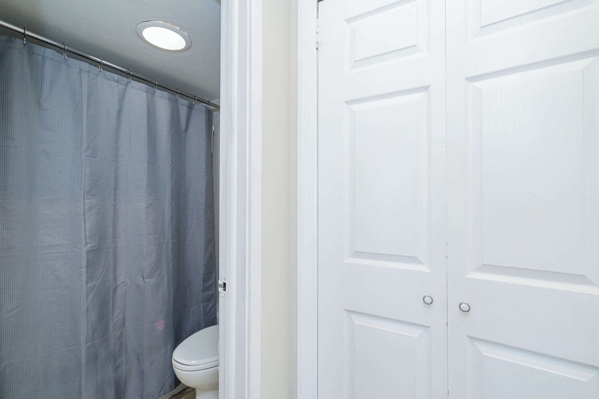 Un baño con cortina de ducha, inodoro y una puerta blanca.