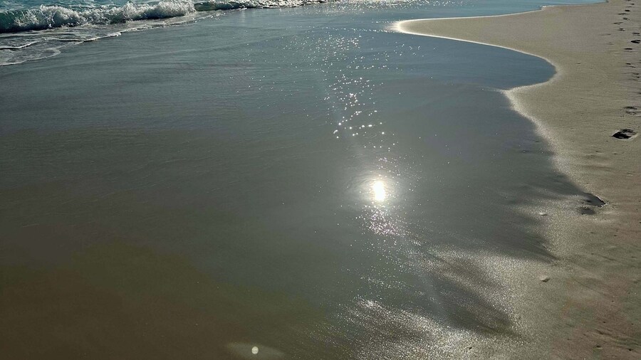 Long Island at Laguna Point