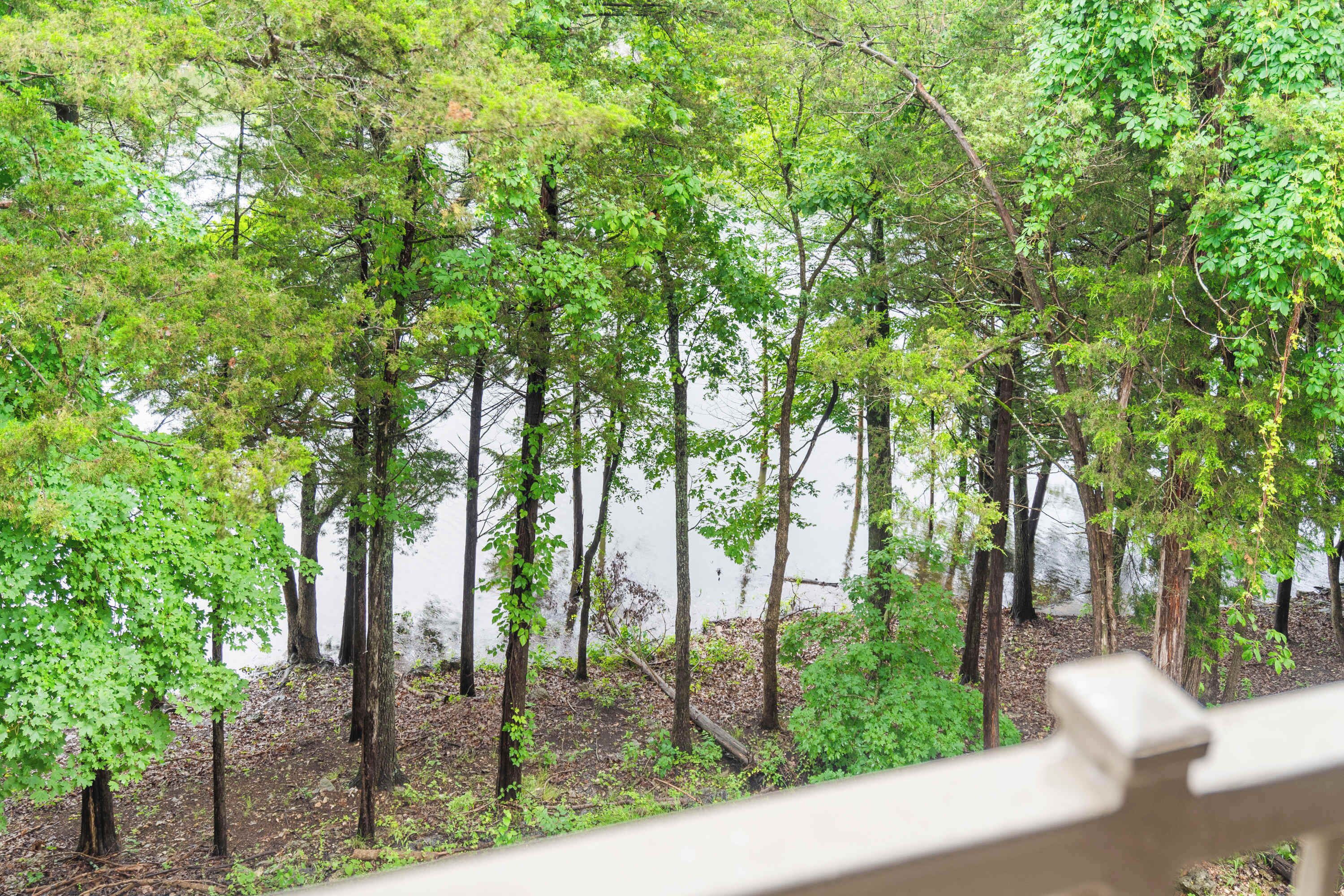 A forested area with trees and a body of water in the background.
