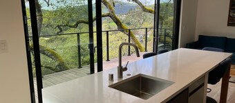 Modern Oasis in San Anselmo - Stunning Views & Ultimate Privacy