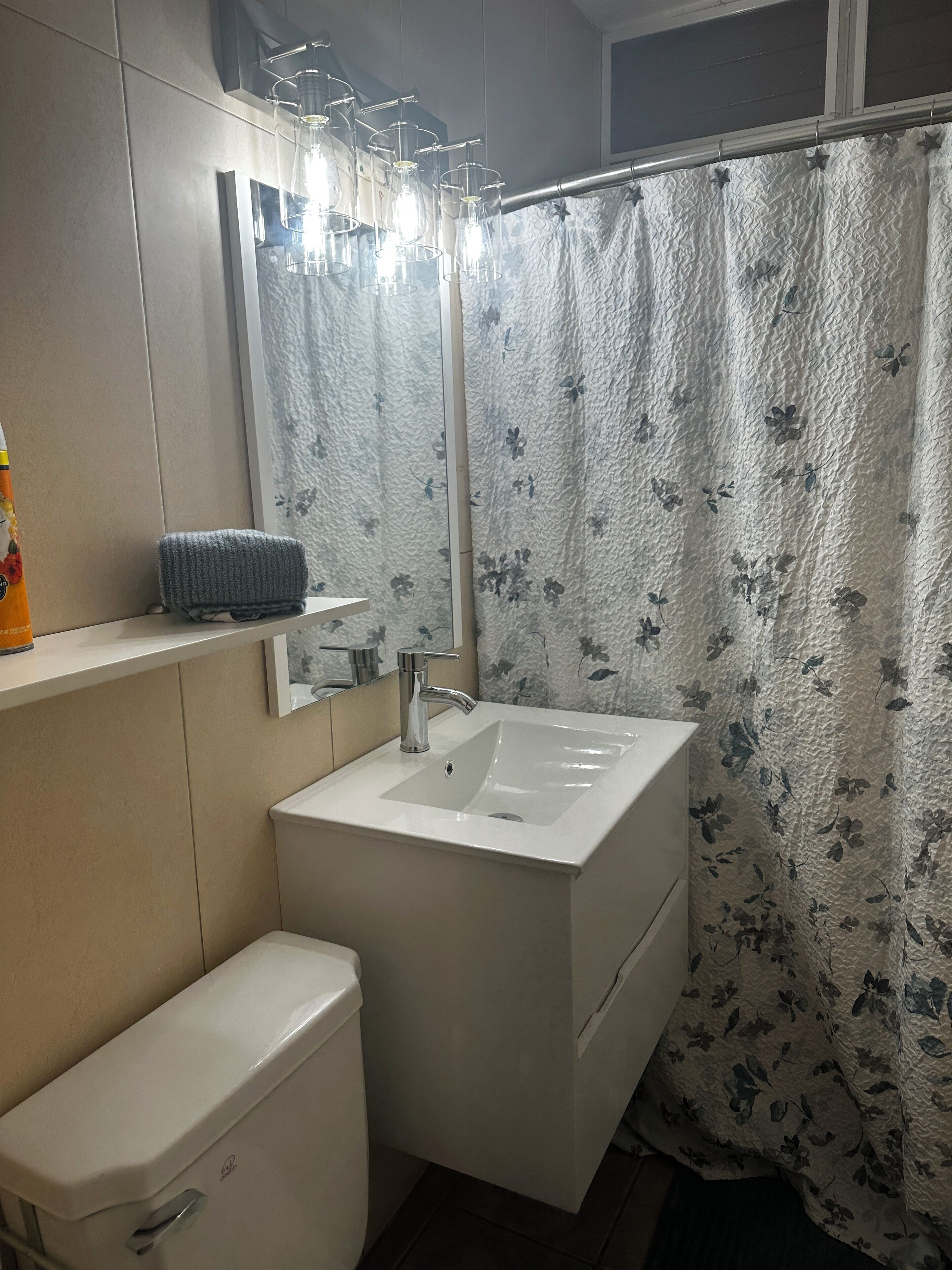 Hair dryer, towels, soap, shampoo