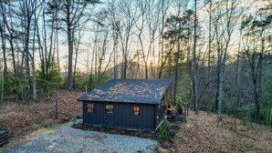 A small cabin with a dark roof, surrounded by a forest. - Luxurious Modern Cabin - Timber For Two (Blue Ridge)