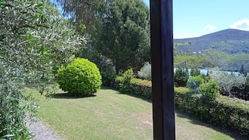 Bungalou bàsic | Terrassa o pati