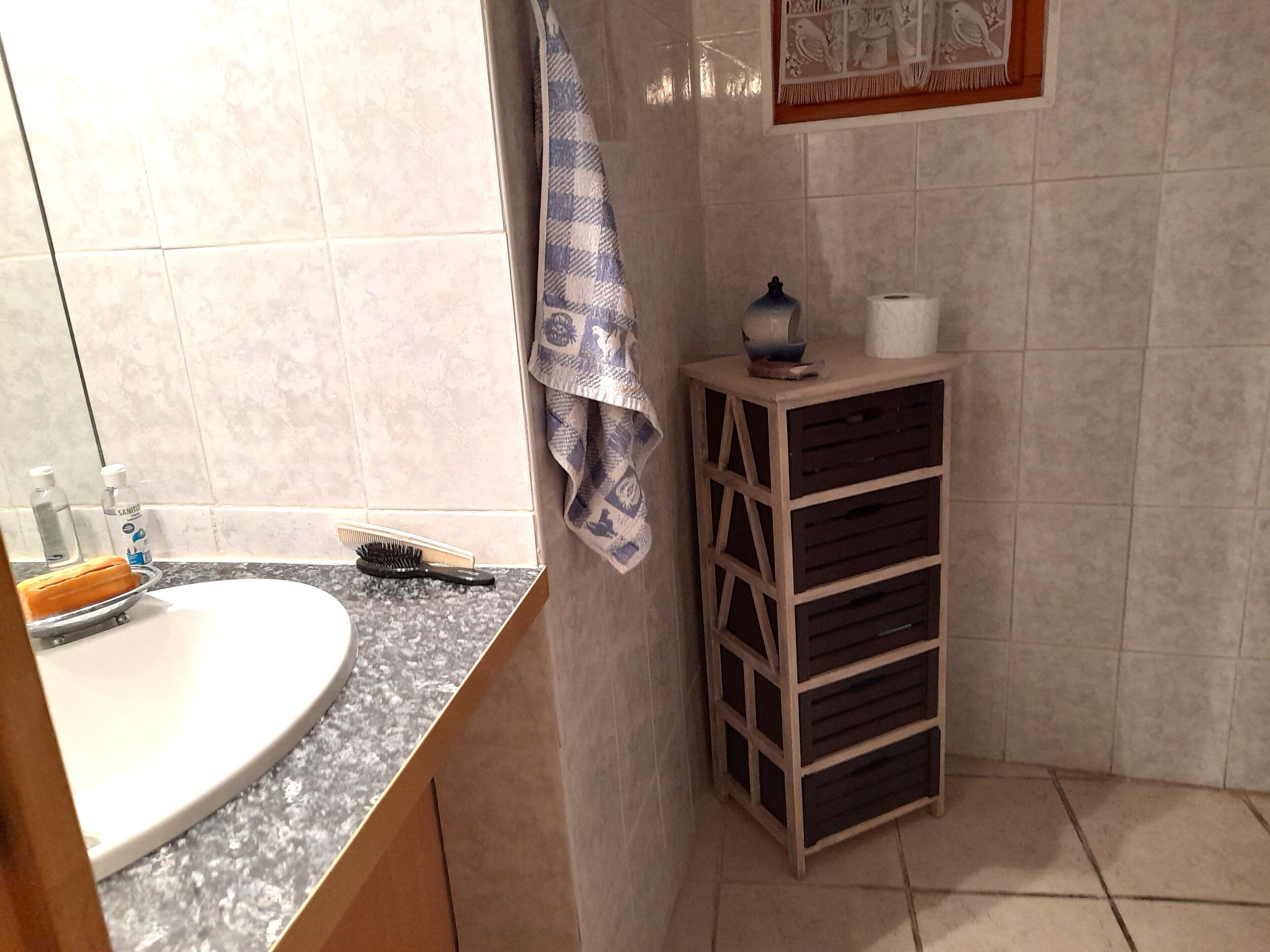 Hair dryer, towels, soap, shampoo
