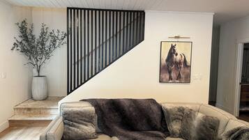 TV connectée, cheminée