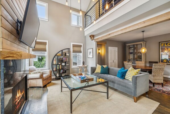 TV connectée, cheminée, lecteur de DVD, livres