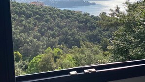A view from a window overlooking a densely wooded area with a body of water and distant mountains. - CACTUS SUPERB SUITE WITH PRIVATE POOL AND STUNNING SEA VIEWS (SKIATHOS)