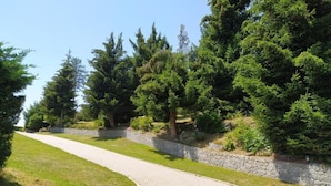 Un vialetto lastricato in un parco, con alberi e un muro in pietra.