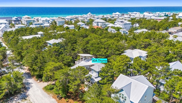 A coastal residential area with houses surrounded by dense greenery, a clear view of the ocean, and a sign indicating "30A Thyme".