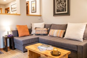 Smart TV, fireplace, books