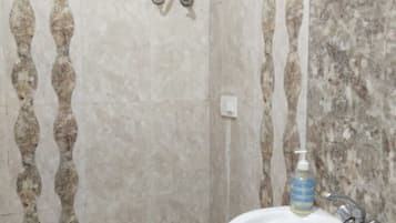 Shower, hair dryer, soap, shampoo