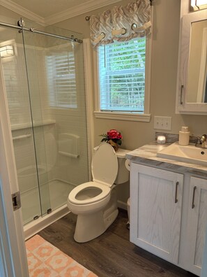 Shower, hair dryer, towels, soap