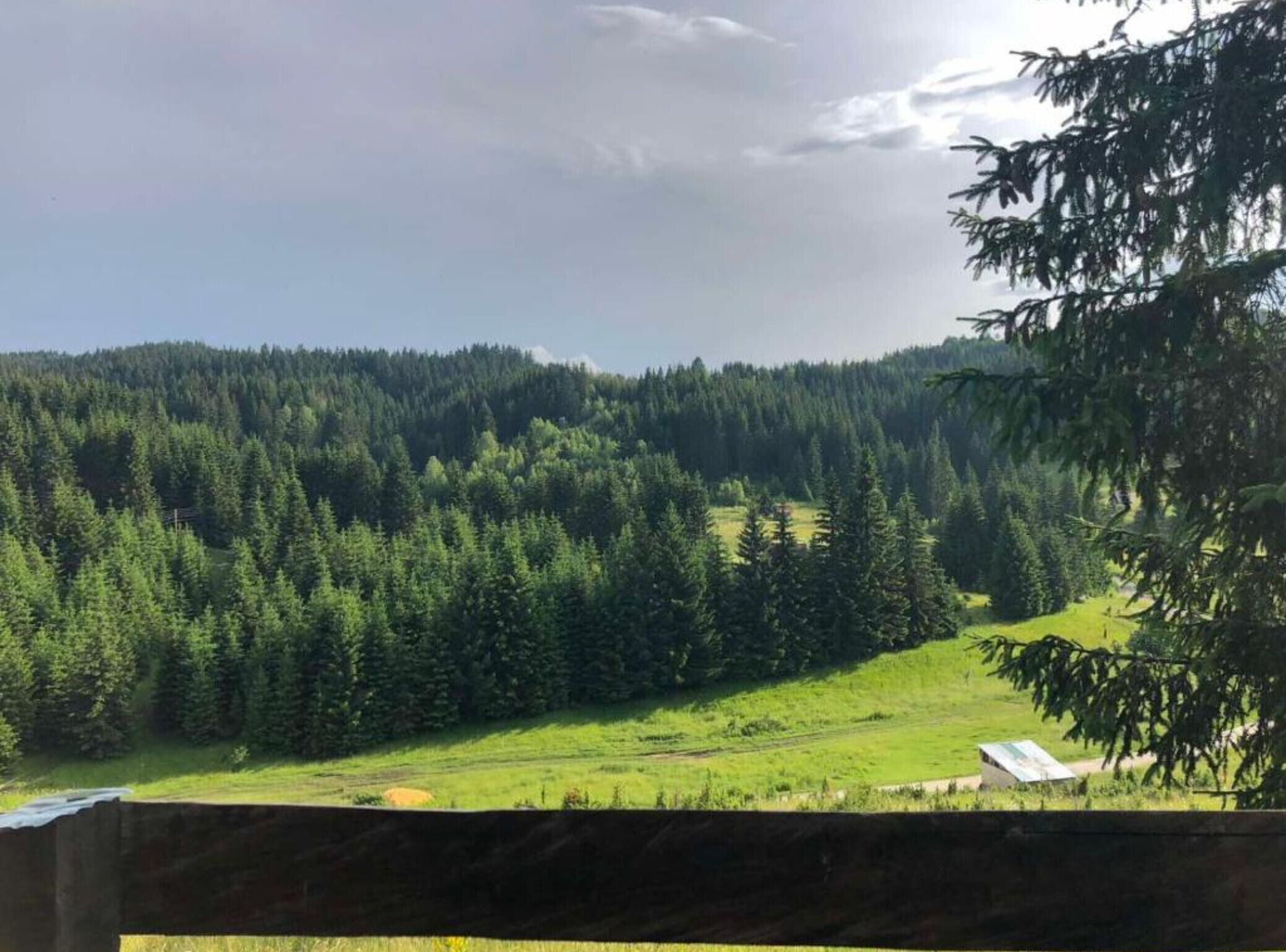 Overnatningsstedets område