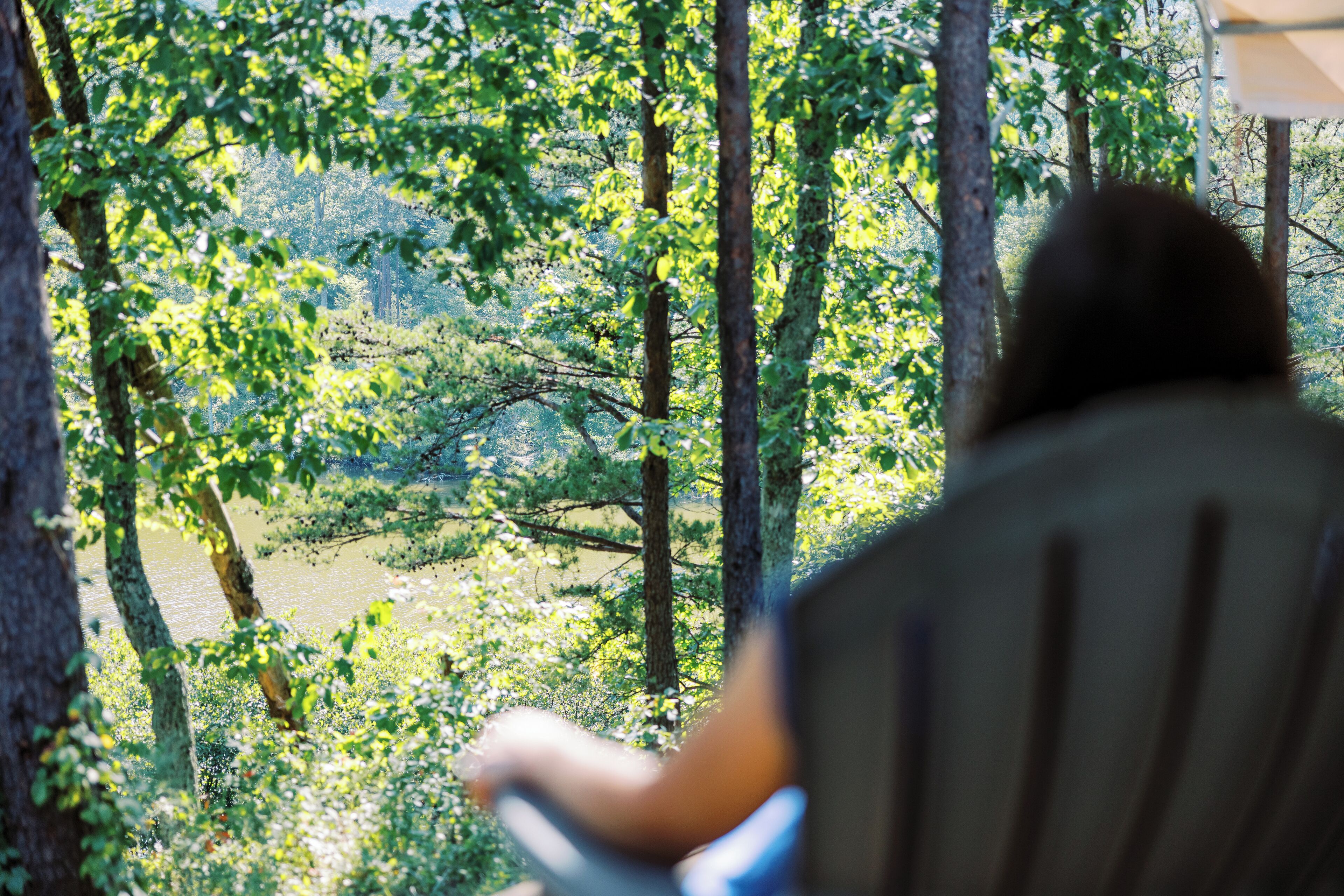 Iemand zit buiten en kijkt uit over een natuurlandschap met bomen en een waterpartij.