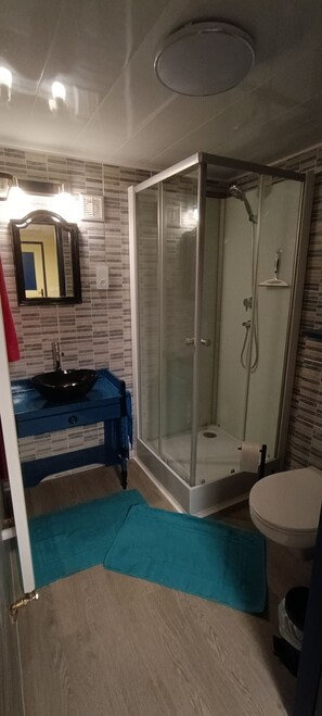 Hair dryer, towels, toilet paper