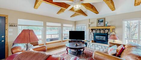 Télévision, cheminée, lecteur de DVD, livres