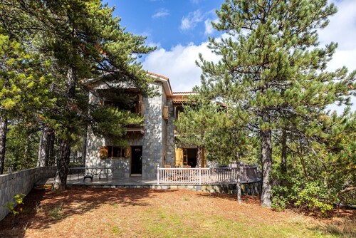 Troodos Mature Pine Chalet