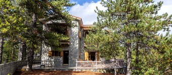Troodos Mature Pine Chalet