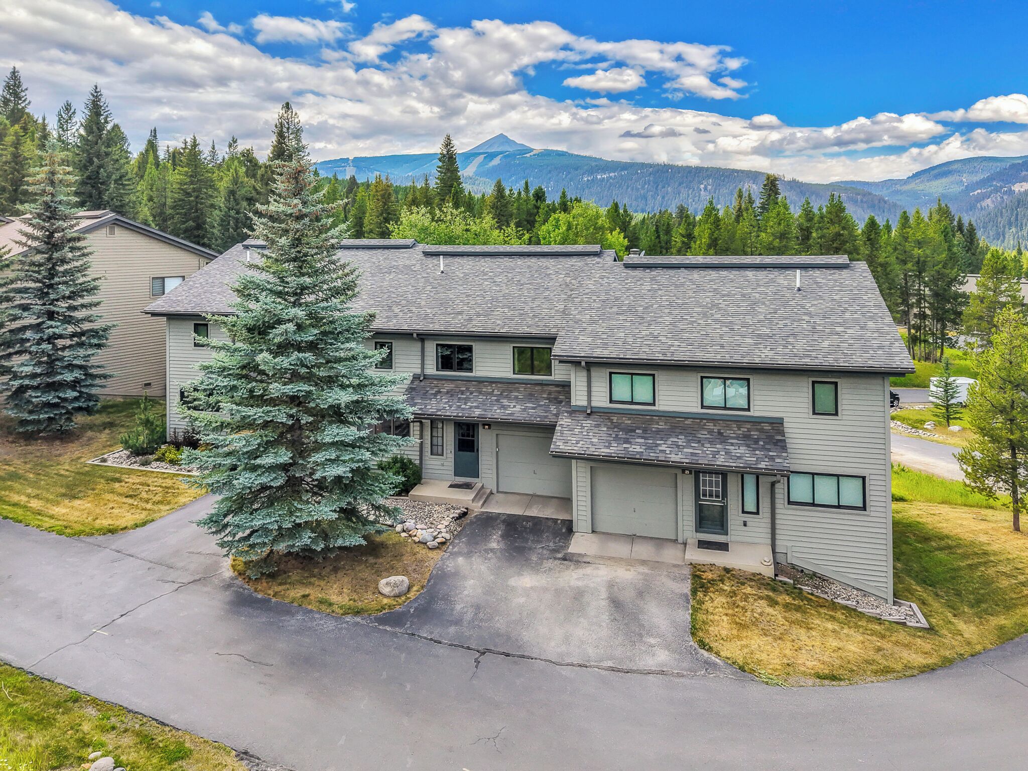 A two-story residential building with a driveway and a large evergreen tree in front.