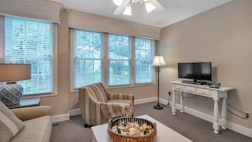 TV, fireplace, video games, DVD player