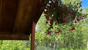 A wooden pergola with a hanging flower basket. - Cedar Cabin Cozy 2-Bedroom next to Glacier Park (East Glacier Park)