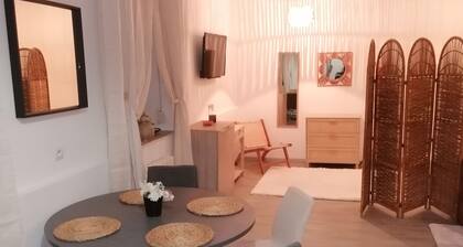 Appt L'oriental 50m2 Avec Terrasse et Parking Privé