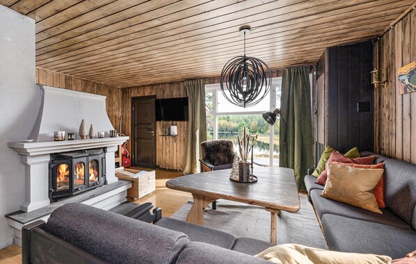 Älytelevisio, takka