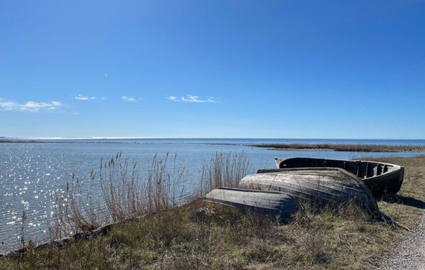 Nära stranden